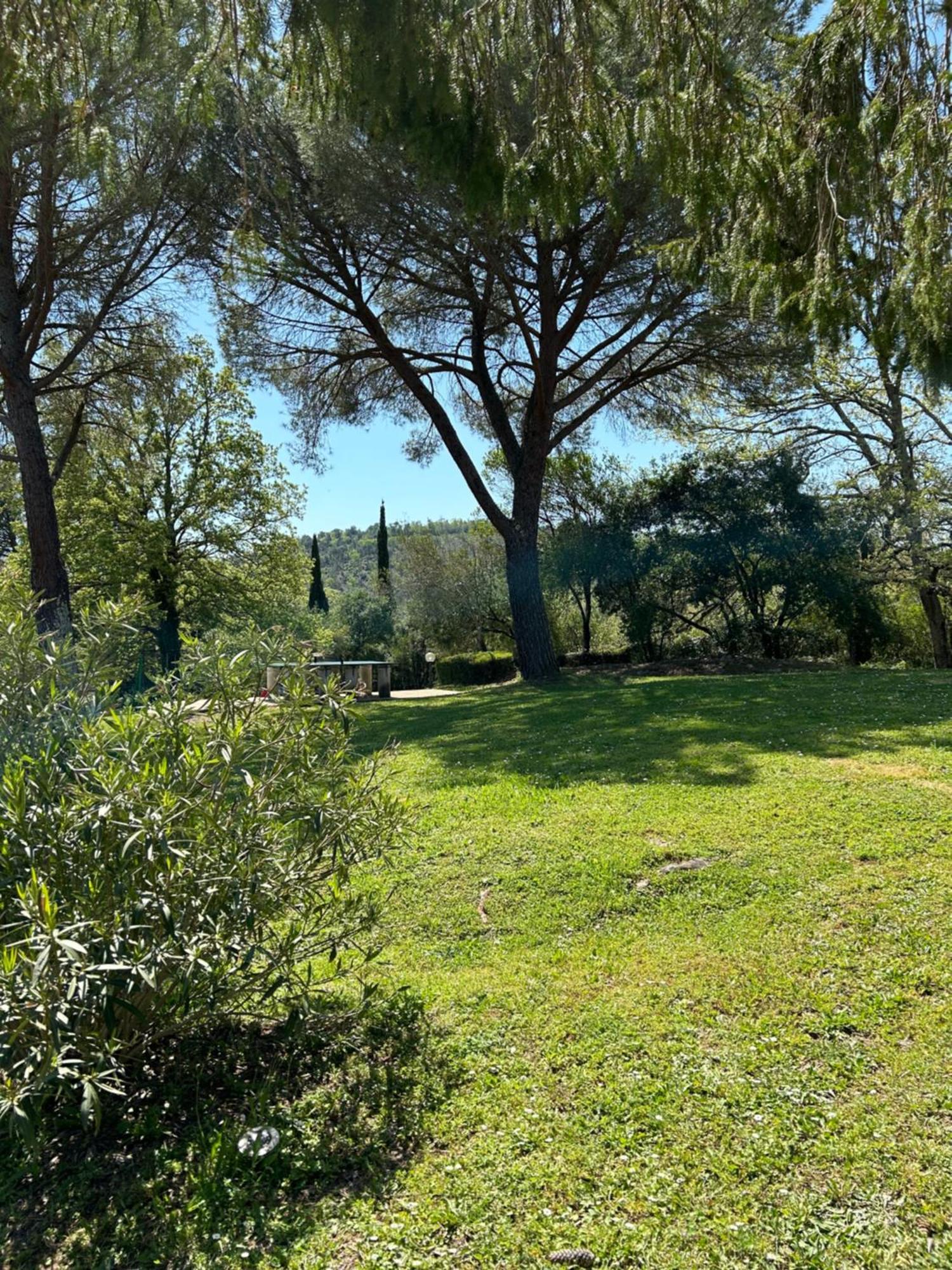 Campo Di Carlo Vendégház Sassetta Kültér fotó